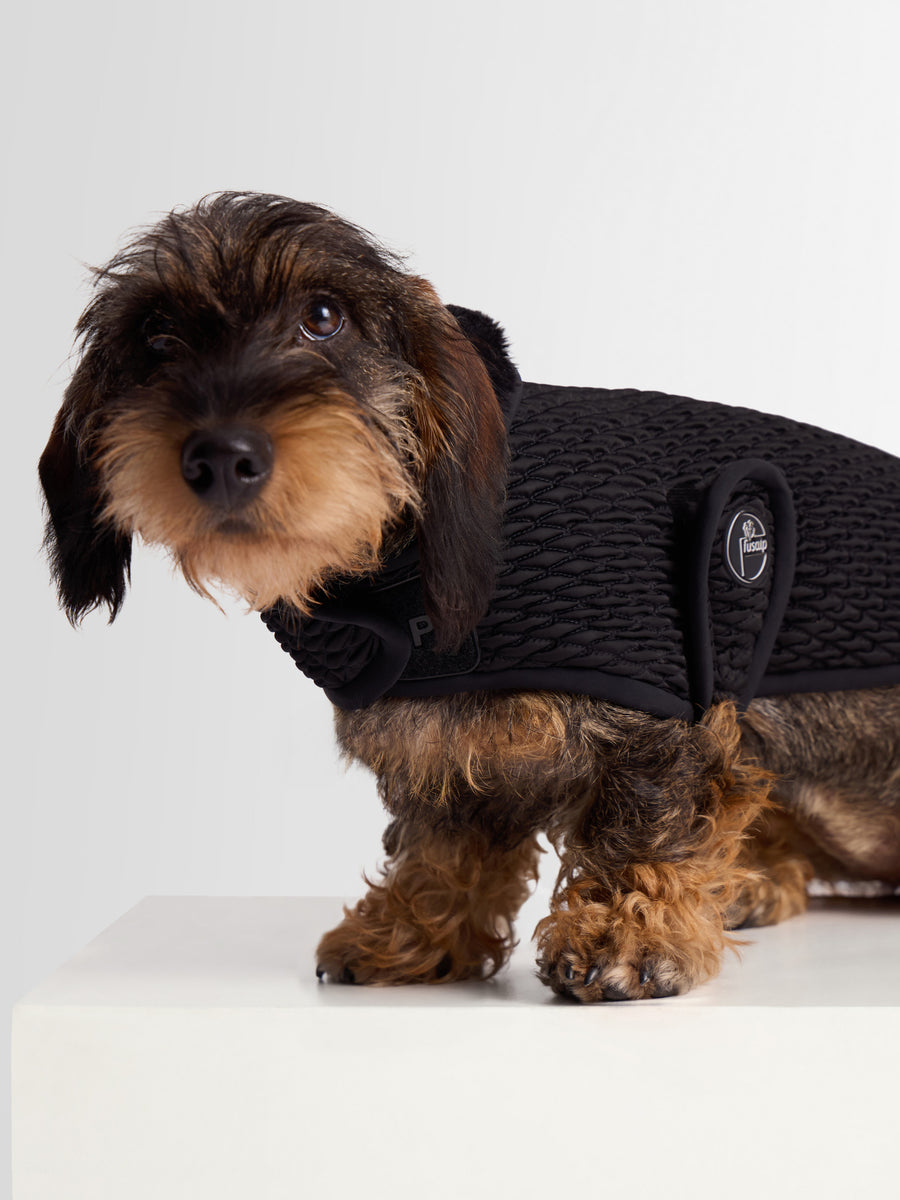 PAWINO DOG COAT
