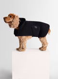 PAWINO DOG COAT