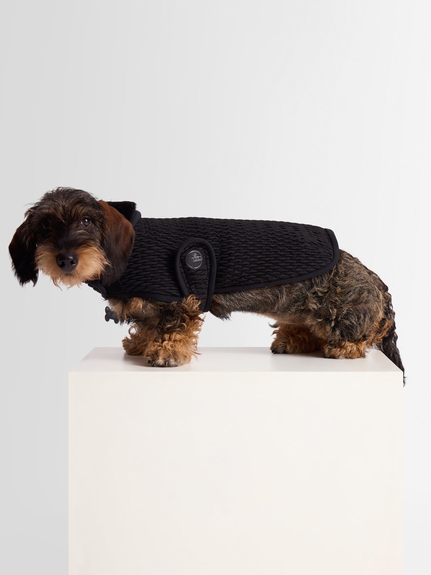 PAWINO DOG COAT