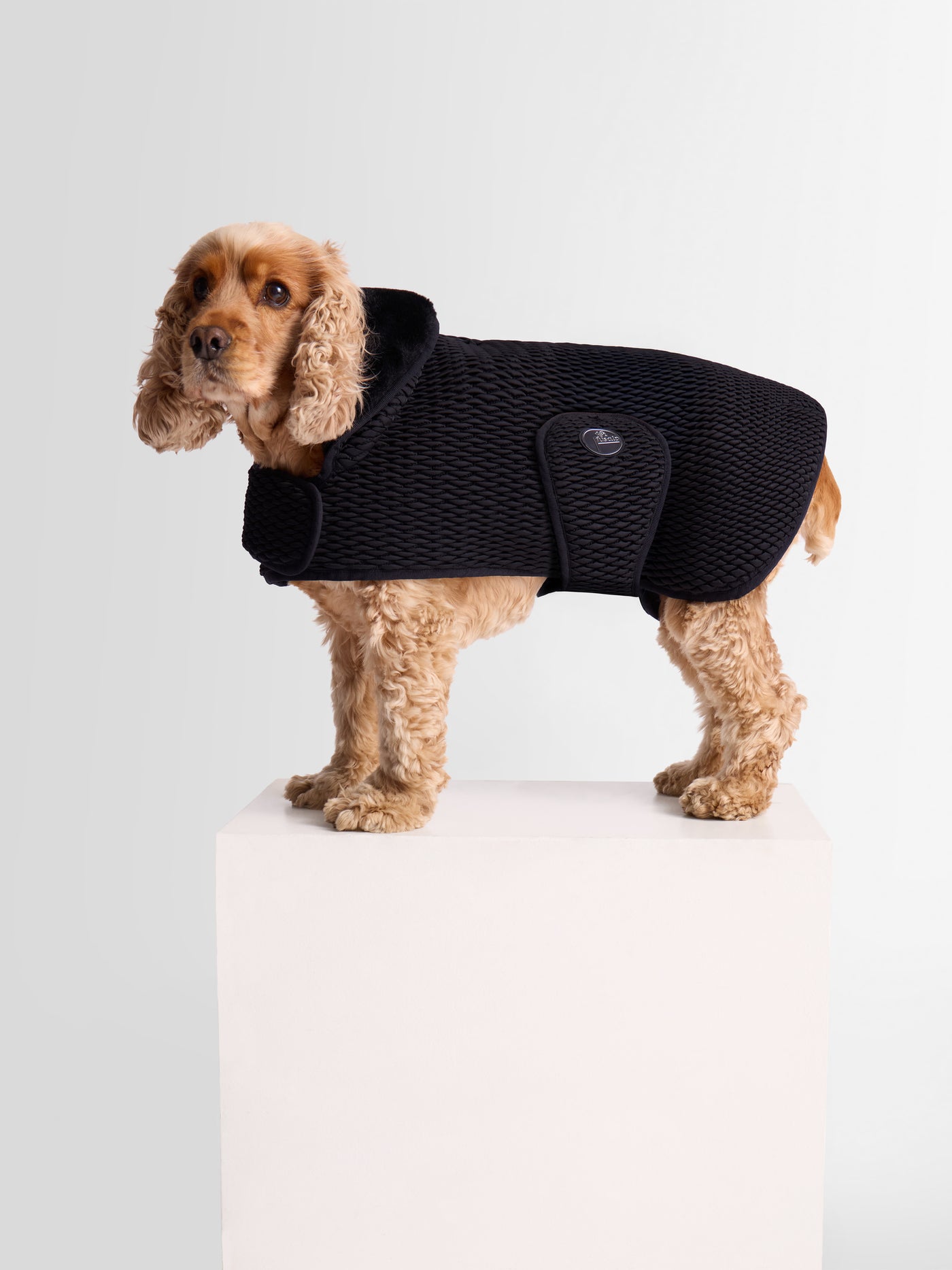 PAWINO DOG COAT